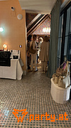 Bild 41