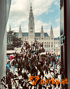 Bild 42