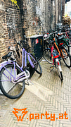 Bild 54