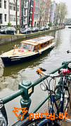 Bild 64