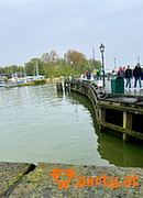 Bild 19