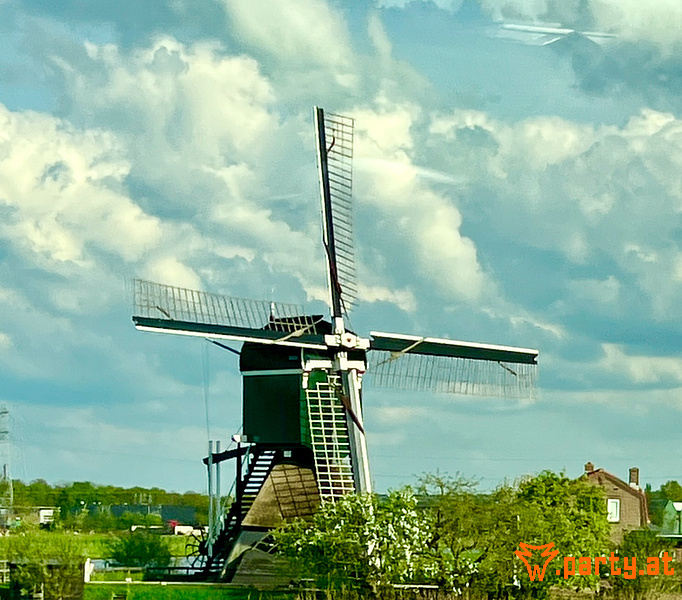 Bild 117