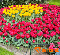 Bild 26