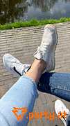 Bild 112