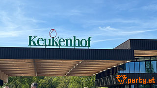 Bild 113