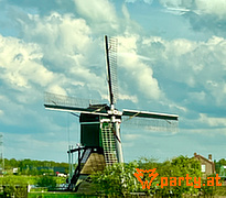 Bild 117