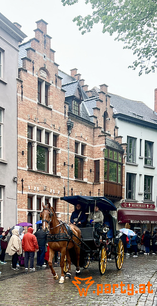 Bild 19