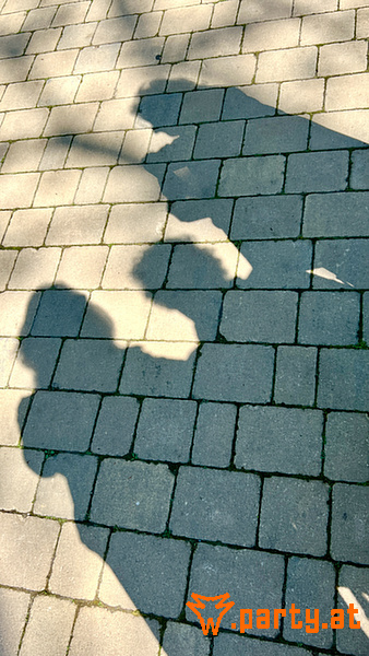 Bild 21