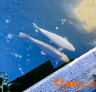 Bild 14