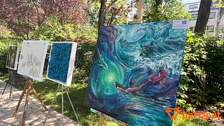 Bild 17
