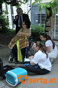 Bild 46