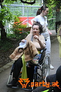 Bild 73