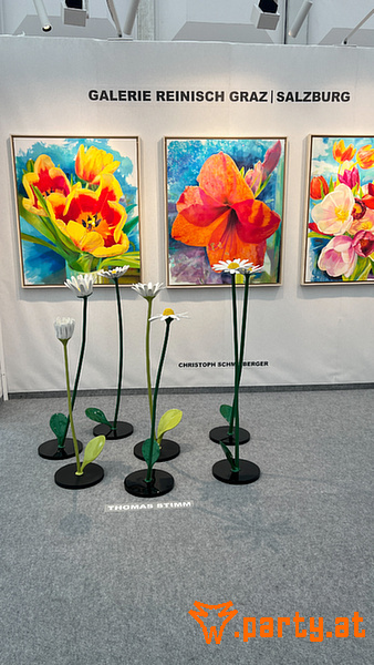 Bild 15