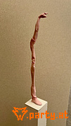 Bild 22