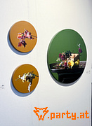 Bild 52