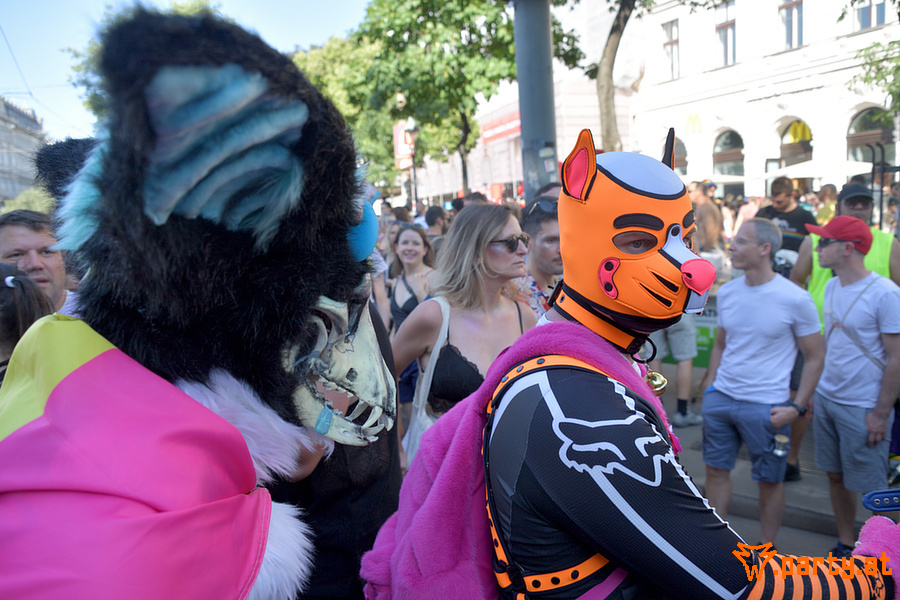 Bild 64