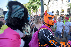 Bild 64