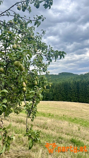 Bild 14