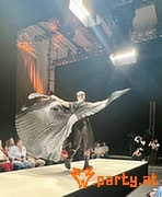 Bild 65