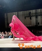 Bild 61
