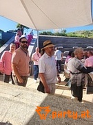 Bild 64