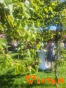Bild 90