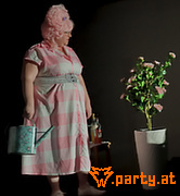 Bild 44