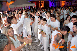 Bild 87