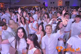 Bild 96