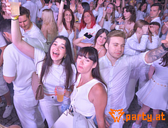 Bild 97