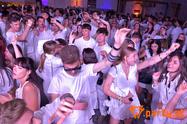 Bild 102