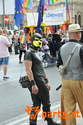 Bild 36