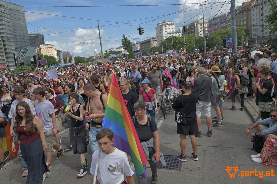 Bild 19