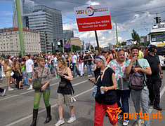 Bild 132