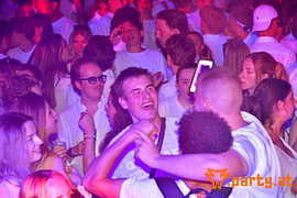 Bild 19