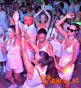 Bild 81