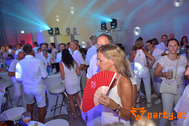 Bild 84