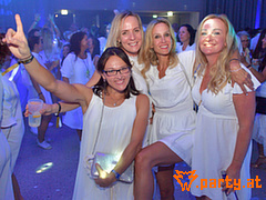 Bild 88