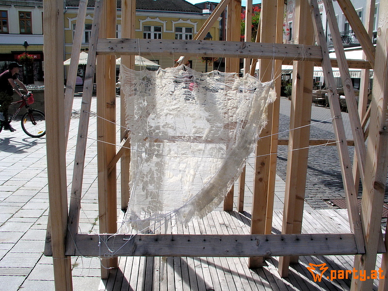 Bild 24