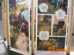 Bild 17