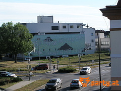 Bild 31