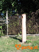 Bild 33