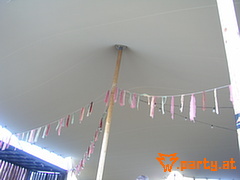 Bild 47