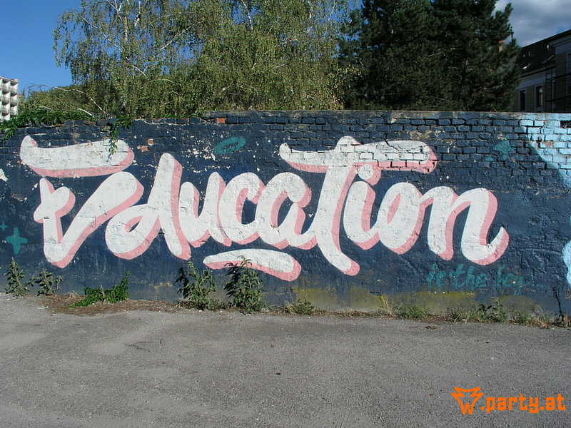 Bild 36