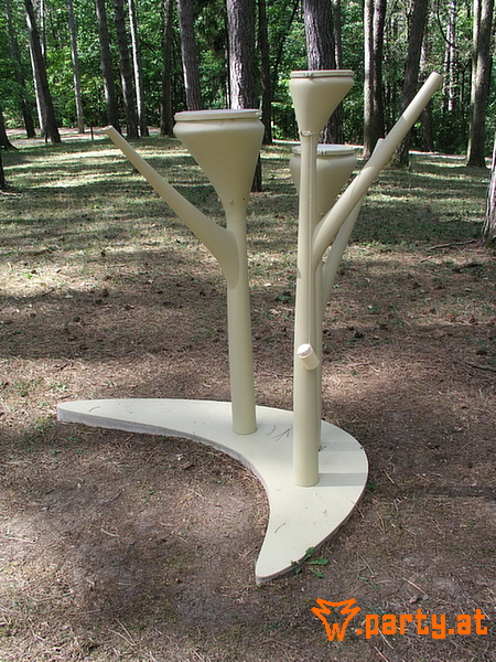 Bild 40