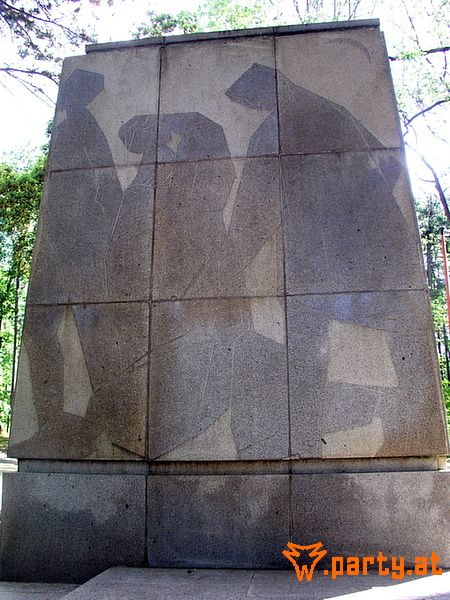 Bild 41