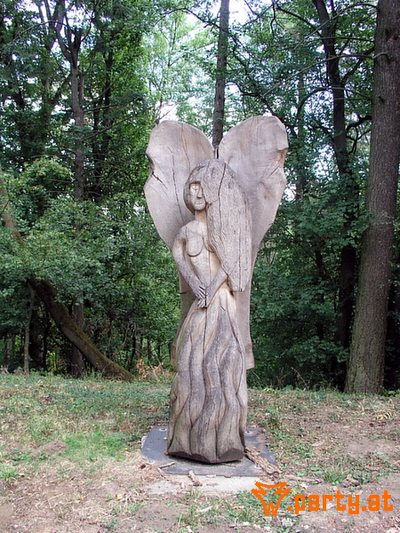 Bild 42