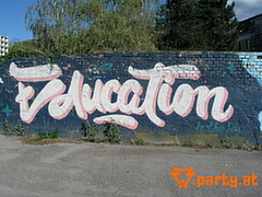Bild 36