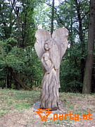 Bild 42