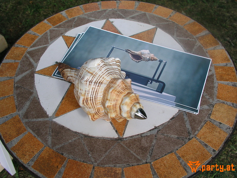 Bild 99